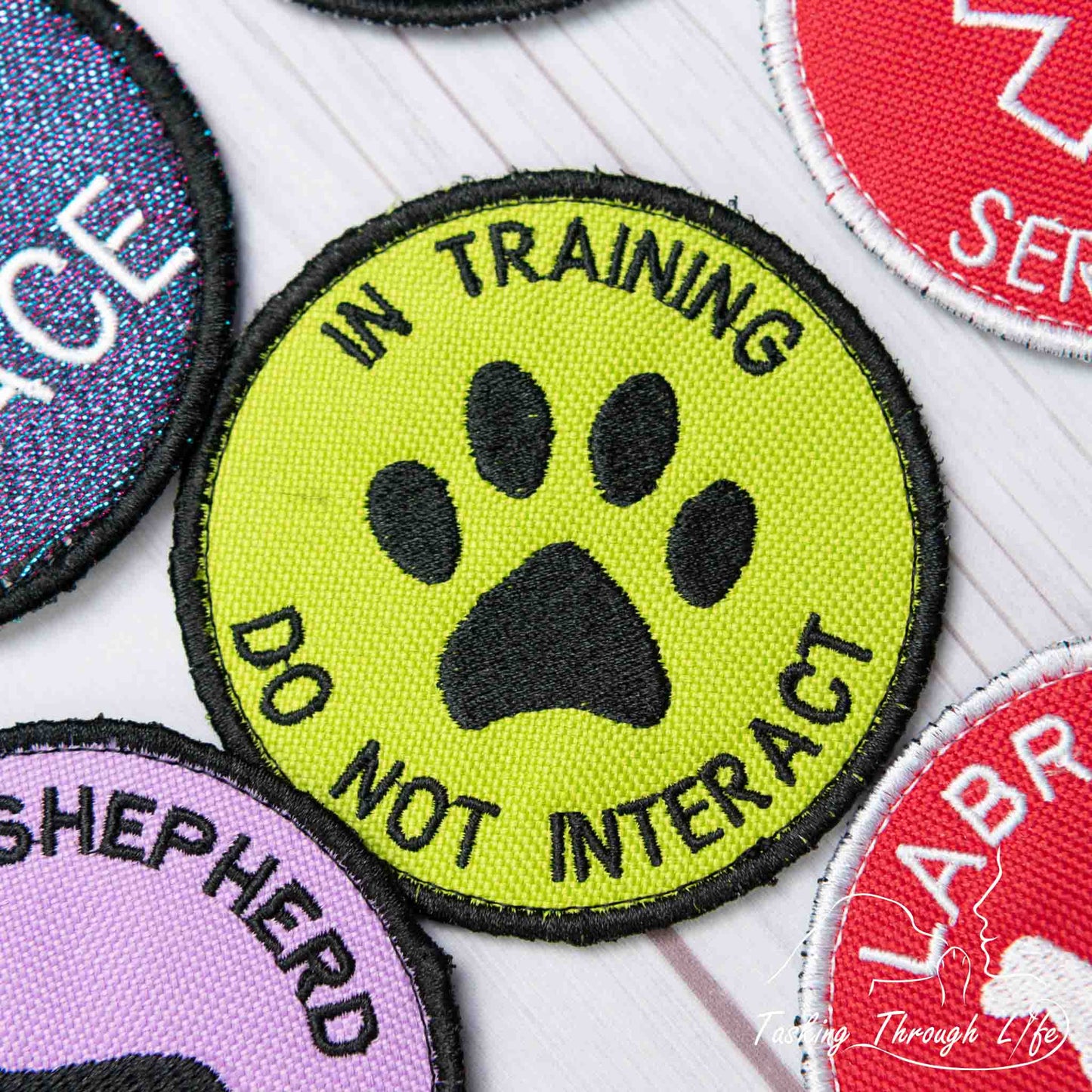 IN TRAINING DO NOT INTERACT 3" Patch - P33