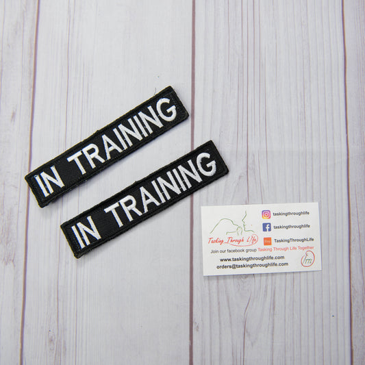 2 patch set - IN TRAINING 1x5" Patch - P56